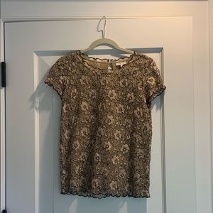 • JOIE • MARCELLINE CREAM LACE TOP •